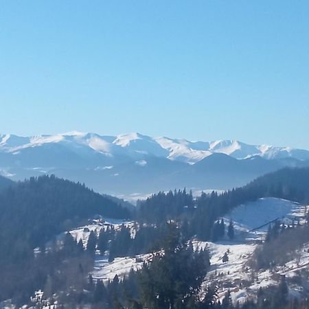На Березові Krivorovnya Buitenkant foto