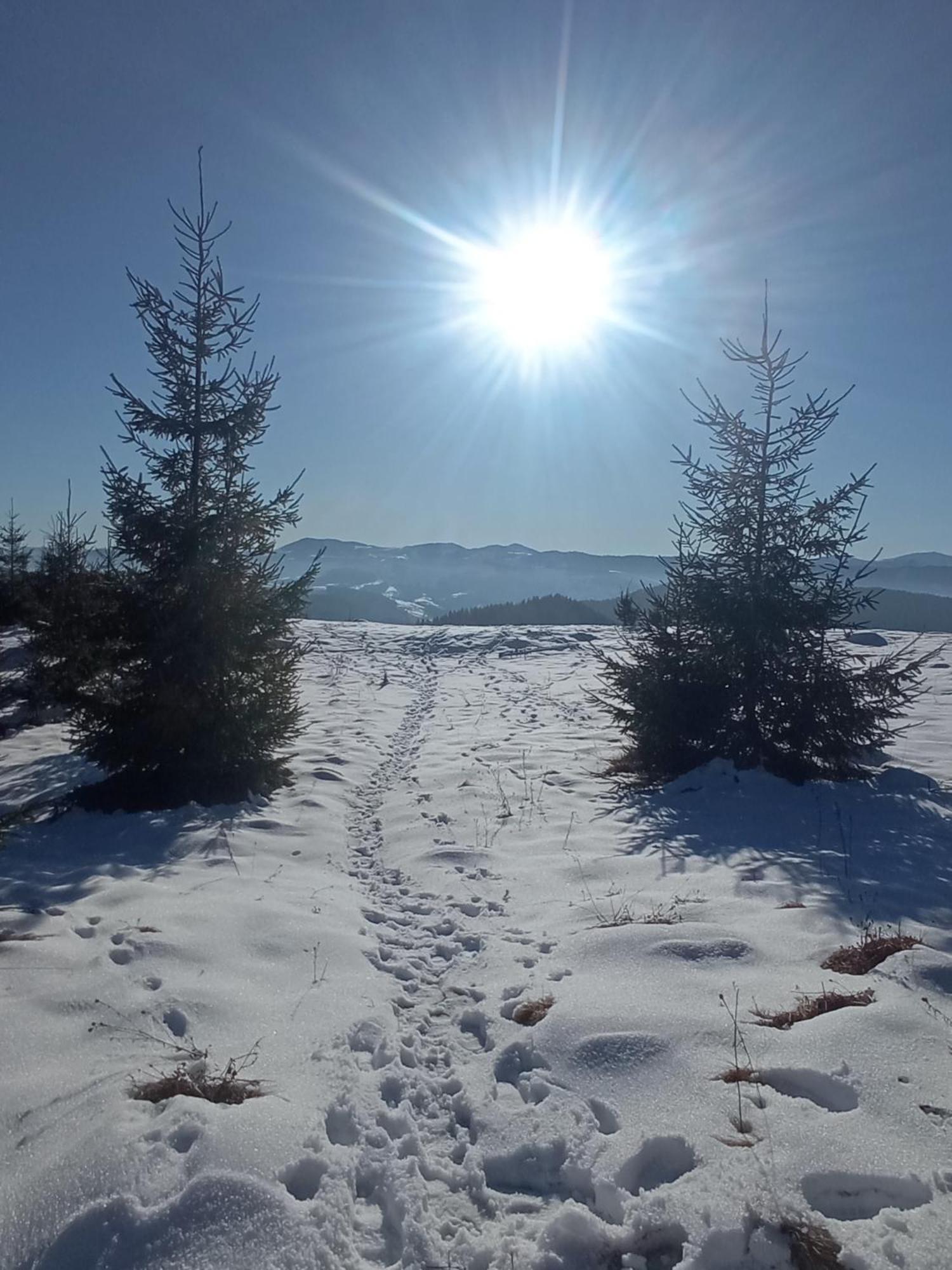 На Березові Krivorovnya Buitenkant foto